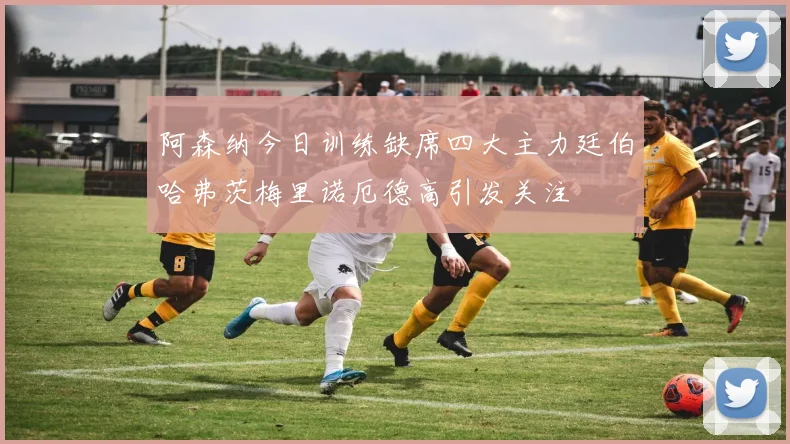 阿森纳今日训练缺席四大主力廷伯哈弗茨梅里诺厄德高引发关注