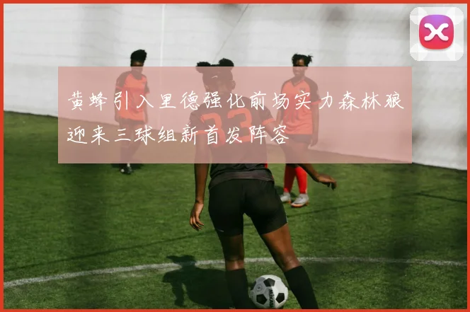 黄蜂引入里德强化前场实力森林狼迎来三球组新首发阵容